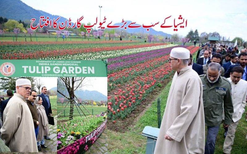 سری نگر میں ایشیا کے سب سے بڑے ٹیولپ گارڈن کا کیا افتتاح 